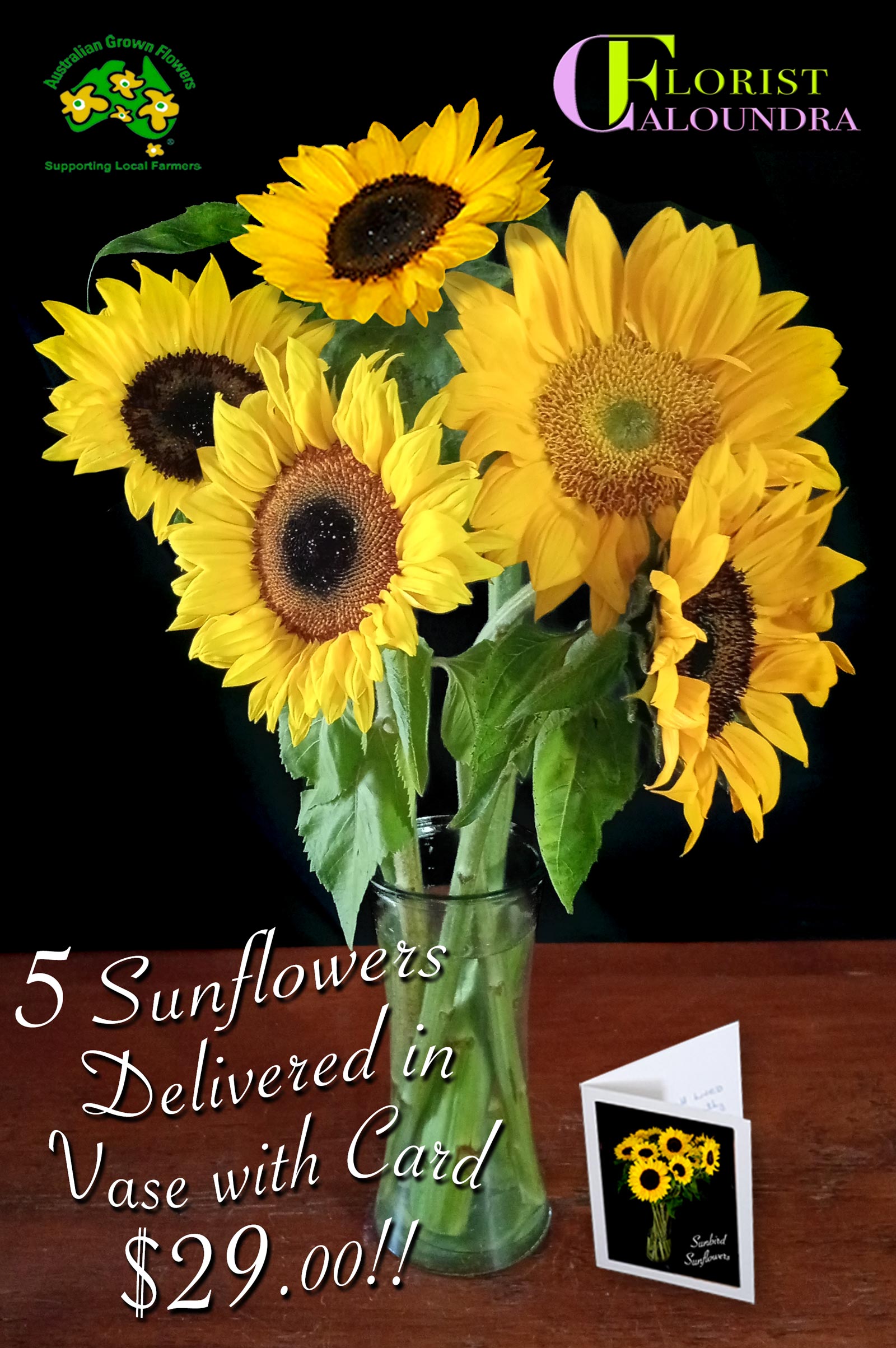 SUNFLOWERS