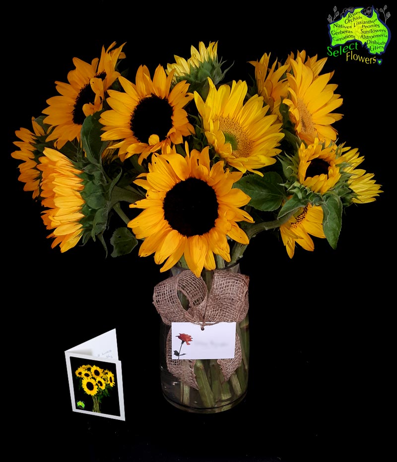 SUNFLOWERS DELIVERED