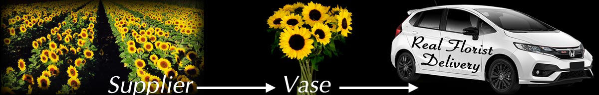 Sunflowers Supplier to Vase