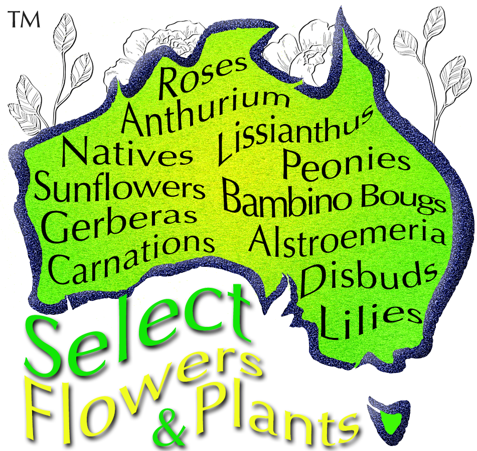 SELECT FLOWERS